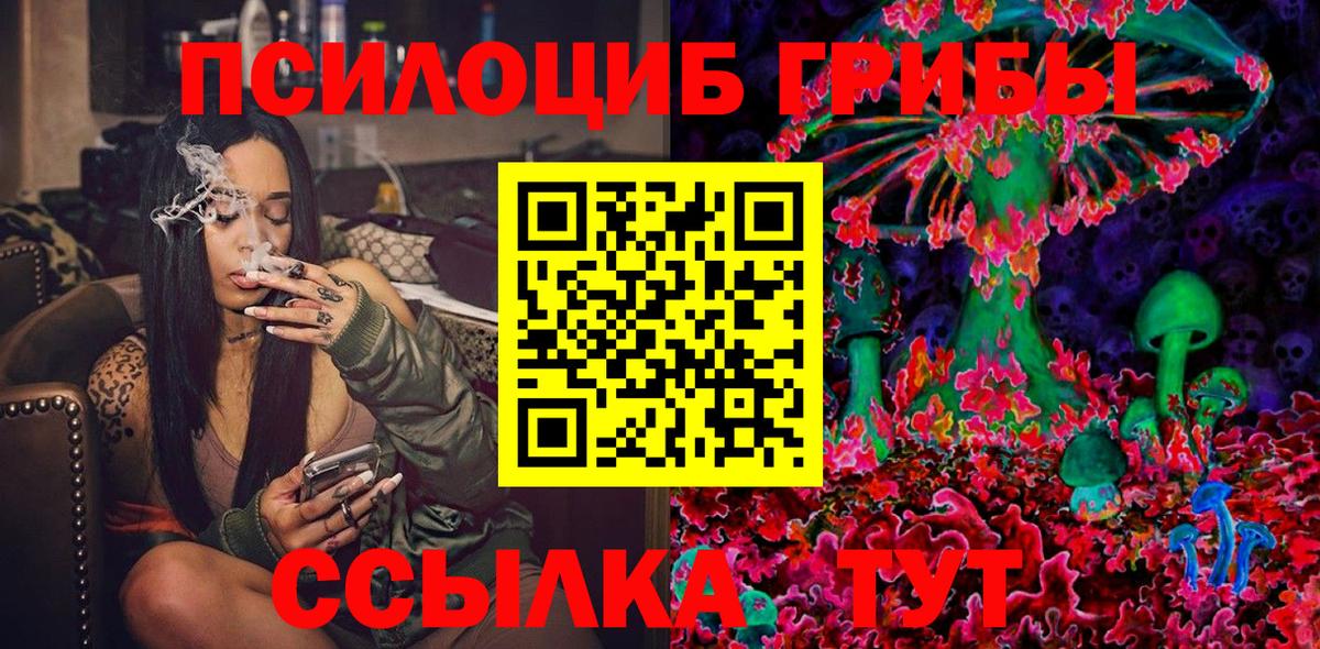 Качканар  Псилоцибиновые грибы Cubensis  Вход с VPN 